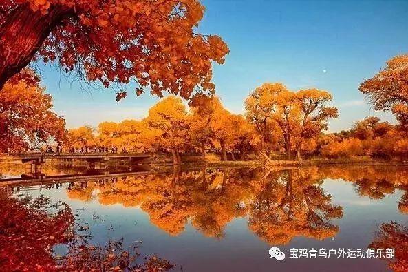 三小只僵尸的游戏时间7