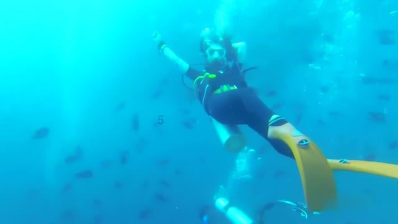 海底的秘密
