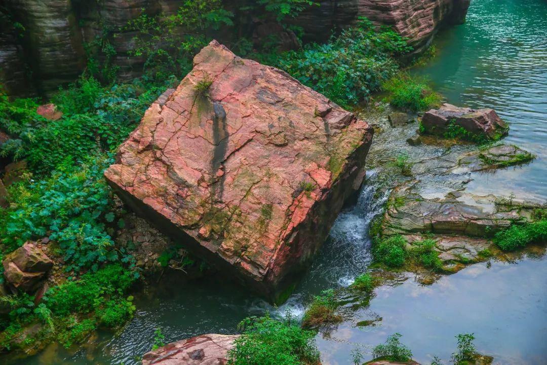 救援小蝙蝠
