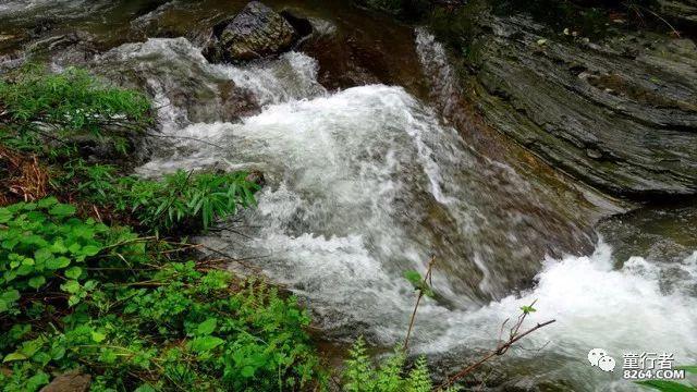 全球功率最高溶液型医用同位素堆在四川开建